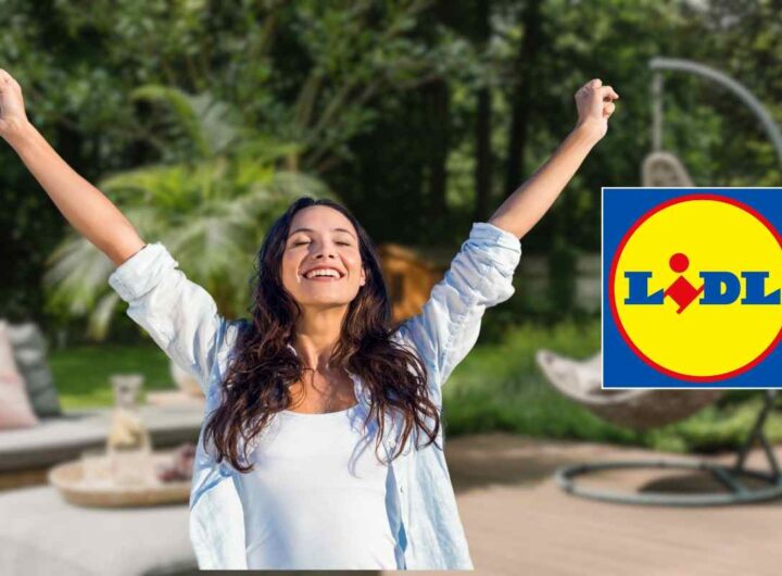 Arredamenti da giardino la Lidl sbanca