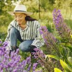 Consiglio per crescere al meglio la lavanda