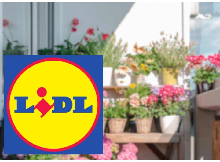 Promo pollice verde Lidl