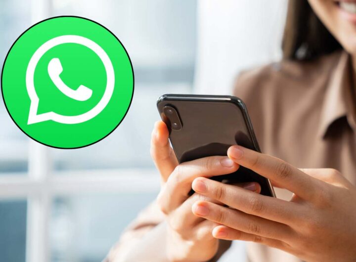 novità whatsapp icona